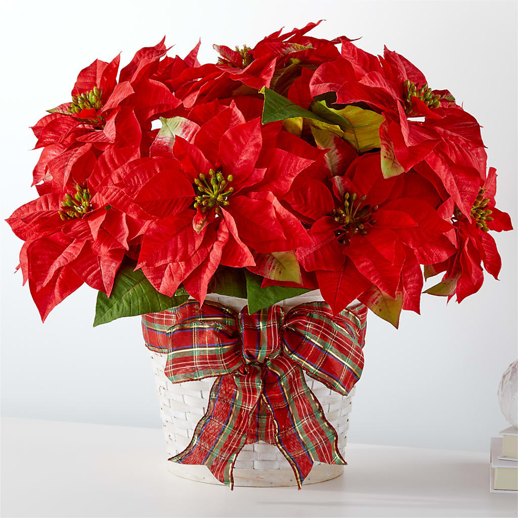 Happiest Holidays Poinsettia – United Floral Svc Inc, Philadelphia PA