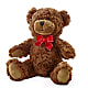 Adorable Plush Bear – United Floral Svc Inc, Philadelphia PA