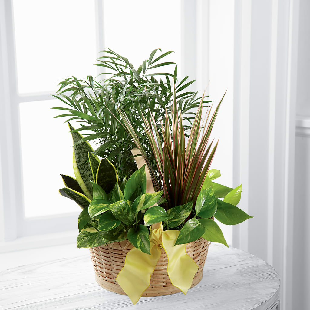 French Garden – United Floral Svc Inc, Philadelphia PA