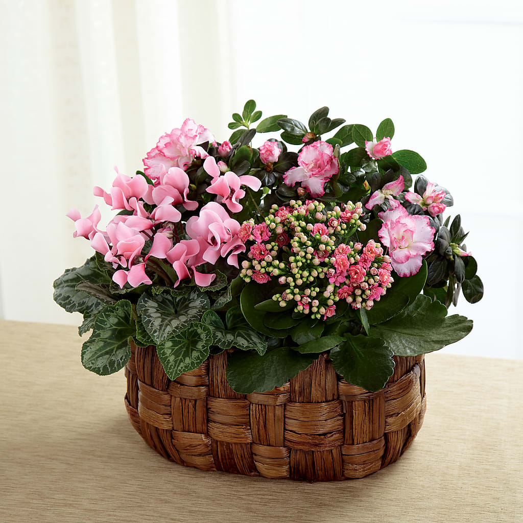 Pink Assortment – United Floral Svc Inc, Philadelphia PA