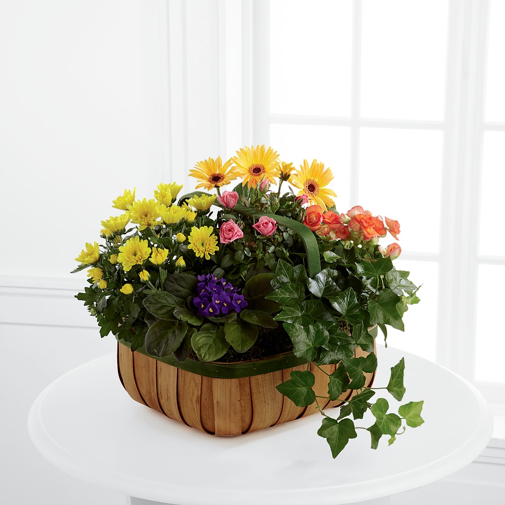 Gentle Blossoms Basket – United Floral Svc Inc, Philadelphia PA