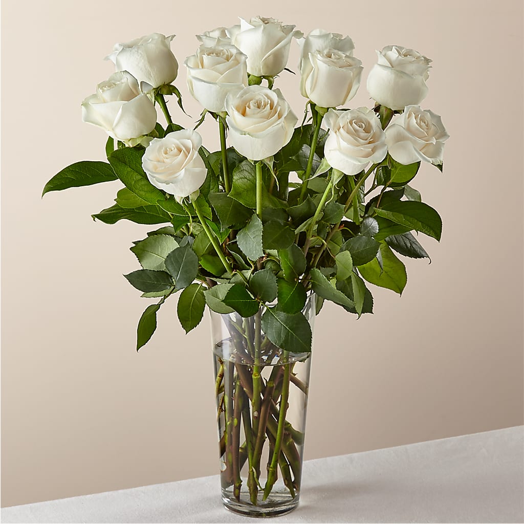 Long Stem White Rose Bouquet – United Floral Svc Inc, Philadelphia PA