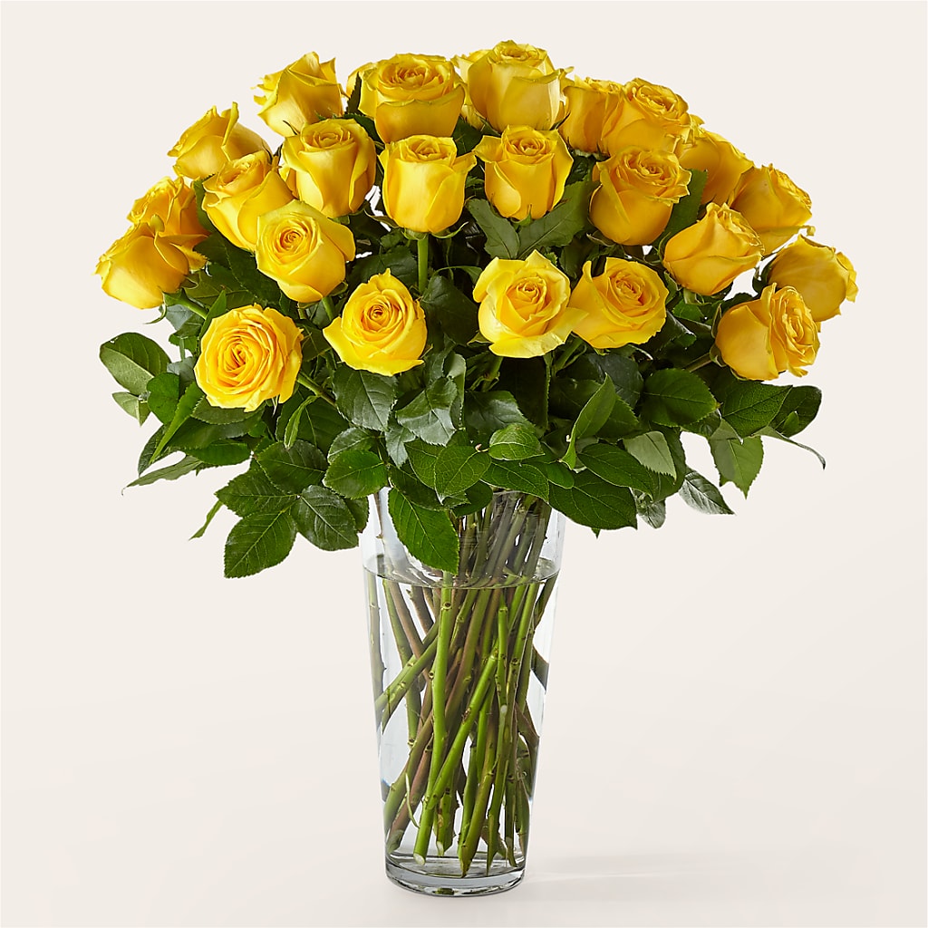 Long Stem Yellow Rose Bouquet – United Floral Svc Inc, Philadelphia PA