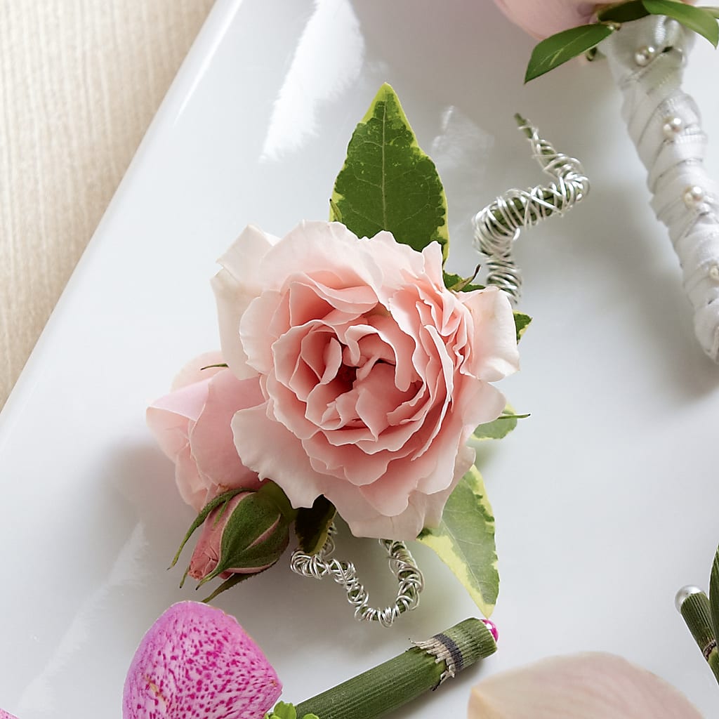 Pink Spray Rose Boutonniere – United Floral Svc Inc, Philadelphia PA