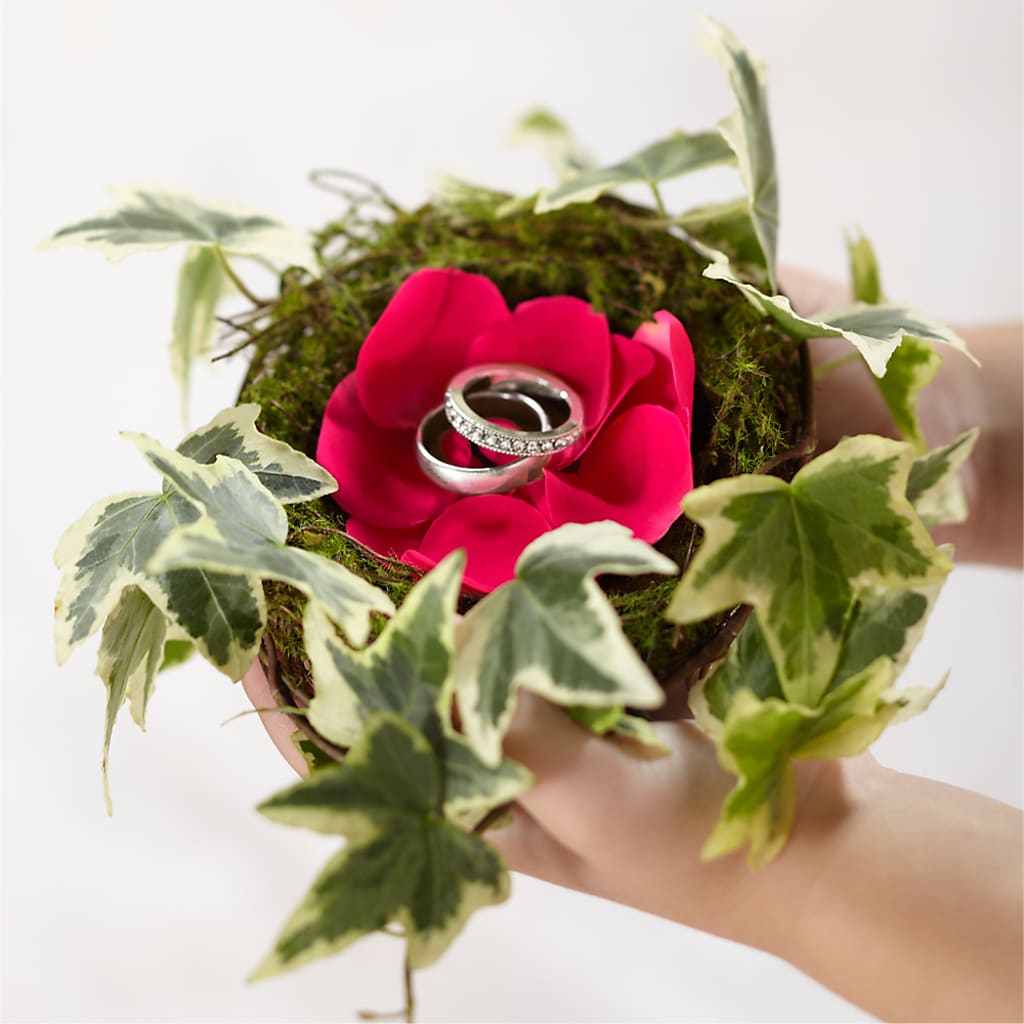 Lila Rose Ring Nest – United Floral Svc Inc, Philadelphia PA