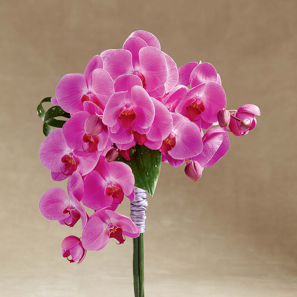 Glorious Bouquet – United Floral Svc Inc, Philadelphia PA