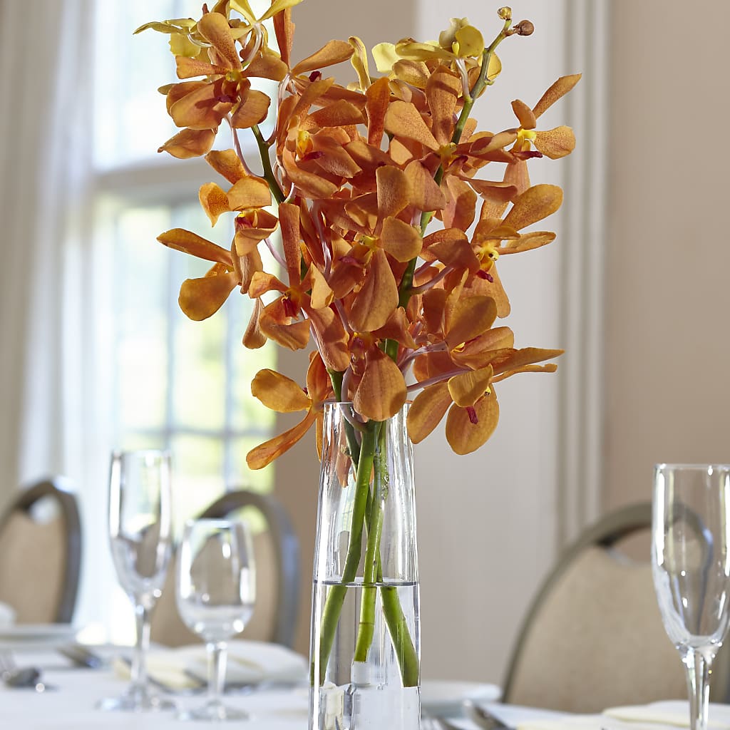 Orange Mokara Bud Vase – United Floral Svc Inc, Philadelphia PA