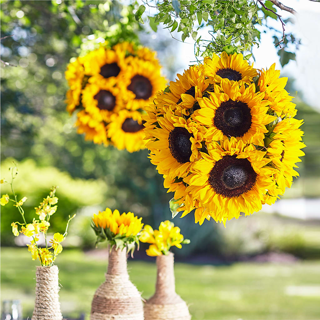 Sublime Garden Hanging Arrangement – United Floral Svc Inc, Philadelphia PA