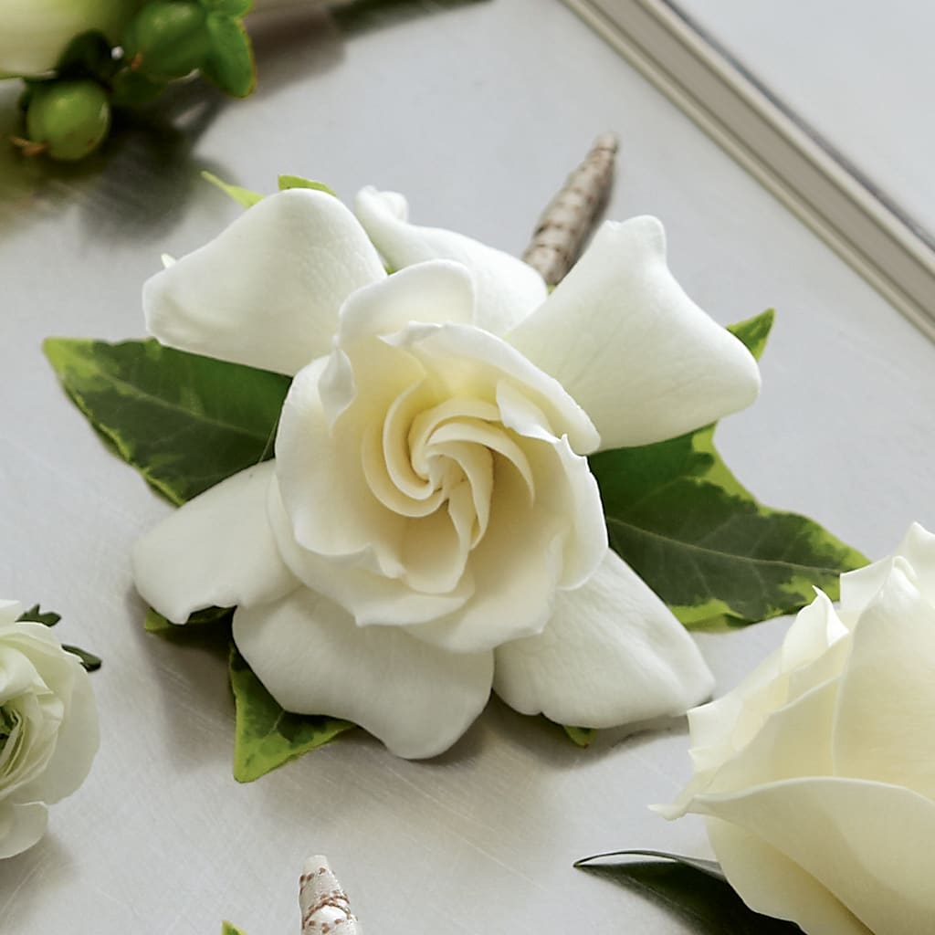 Gardenia Boutonniere – United Floral Svc Inc, Philadelphia PA