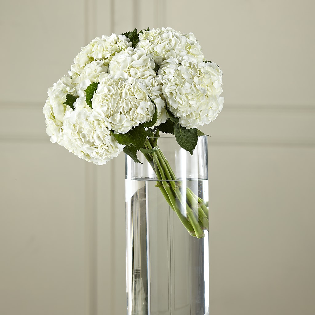 White Hydrangea Hand-Tied Bouquet – United Floral Svc Inc, Philadelphia PA