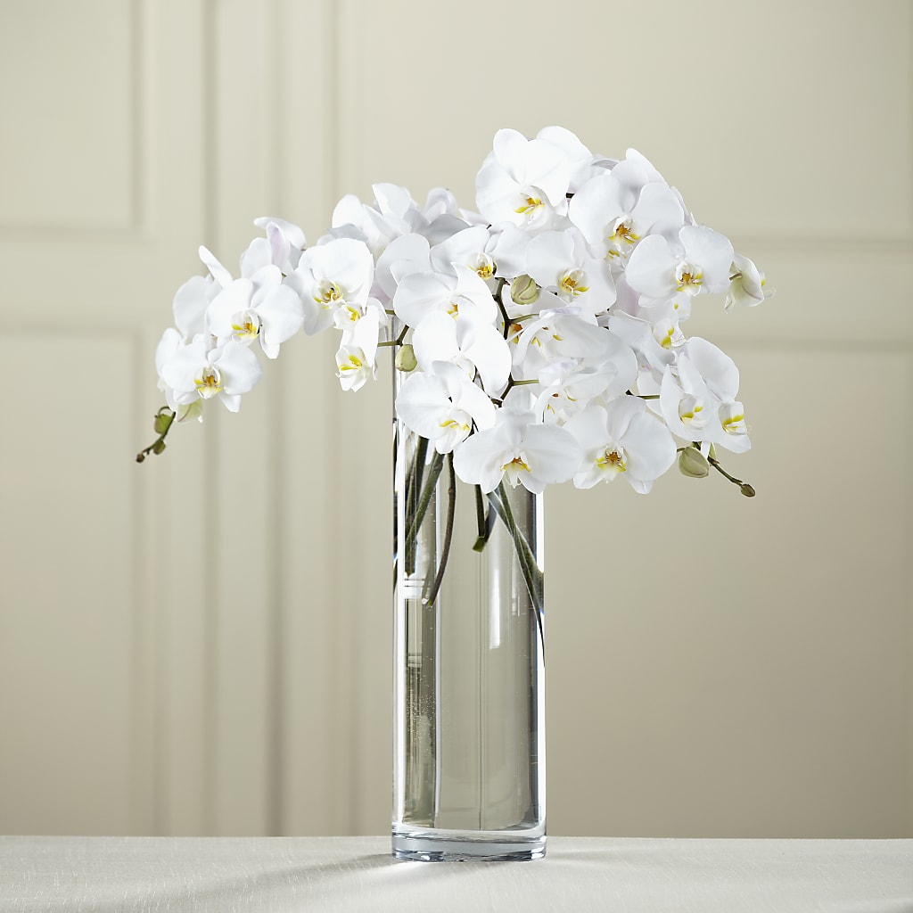 White Phalaenopsis Bouquet – United Floral Svc Inc, Philadelphia PA