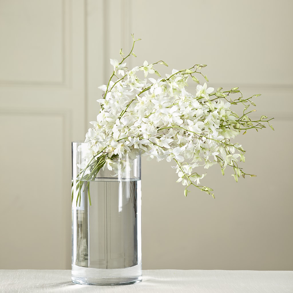 White Dendrobium Bouquet – United Floral Svc Inc, Philadelphia PA