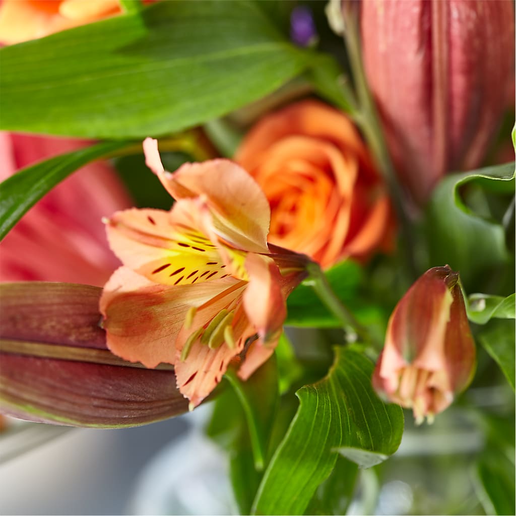 Bold & Bright – A Florist Original –  United Floral Svc Inc, Philadelphia PA