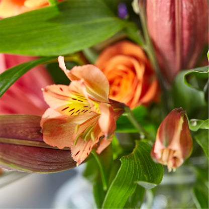 Bold & Bright – A Florist Original –  United Floral Svc Inc, Philadelphia PA