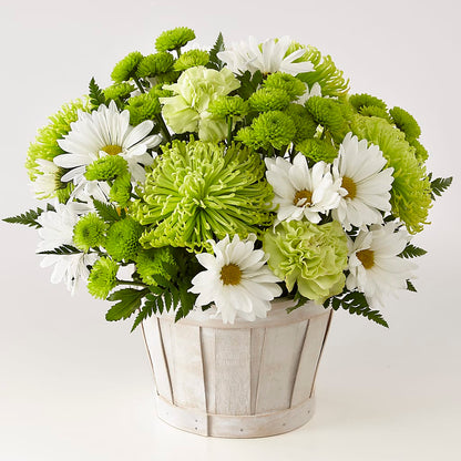 Lucky Charm Basket (Standard) –  United Floral Svc Inc, Philadelphia PA