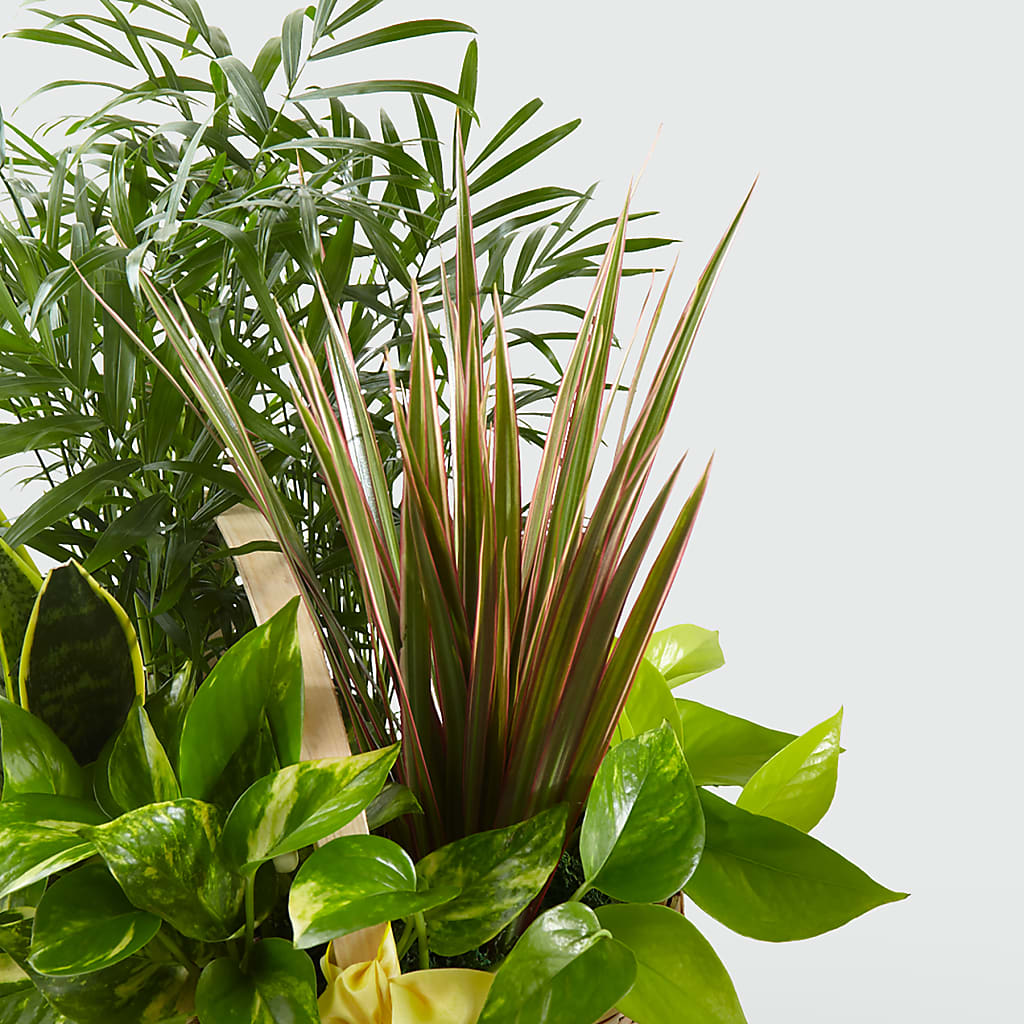 French Garden –  United Floral Svc Inc, Philadelphia PA