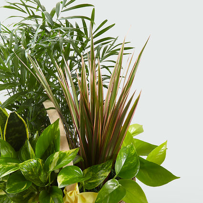 French Garden –  United Floral Svc Inc, Philadelphia PA
