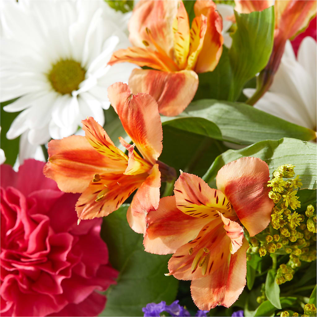 Oopsie Daisy Box Bouquet –  United Floral Svc Inc, Philadelphia PA