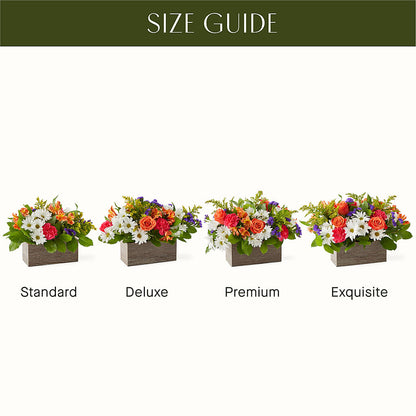 Oopsie Daisy Box Bouquet –  United Floral Svc Inc, Philadelphia PA