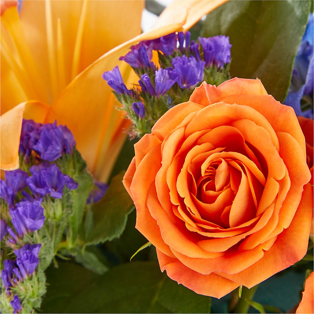 Radiant Citrus Box Bouquet –  United Floral Svc Inc, Philadelphia PA