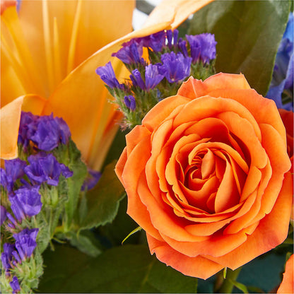 Radiant Citrus Box Bouquet –  United Floral Svc Inc, Philadelphia PA