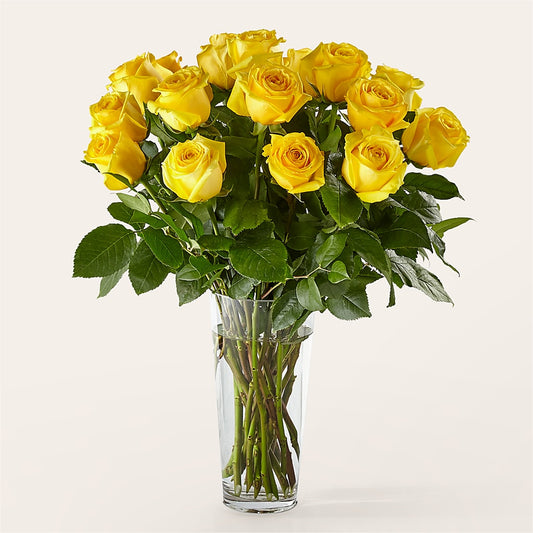 Long Stem Yellow Rose Bouquet –  United Floral Svc Inc, Philadelphia PA