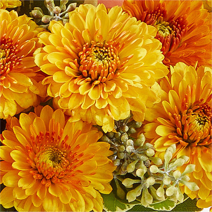 Peachy Pumpkin –  United Floral Svc Inc, Philadelphia PA
