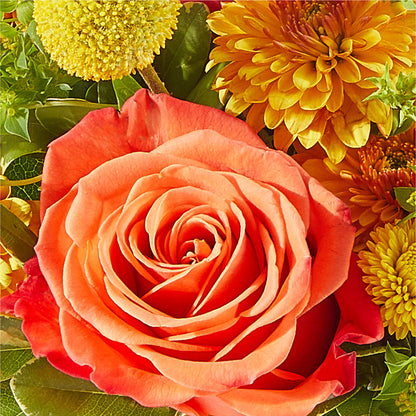 Gourdgeous Pumpkin –  United Floral Svc Inc, Philadelphia PA