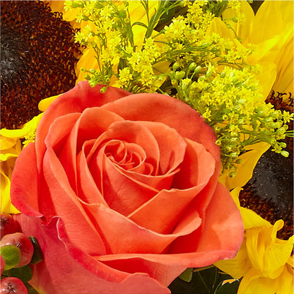 Pick of the Patch Pumpkin Bouquet –  United Floral Svc Inc, Philadelphia PA