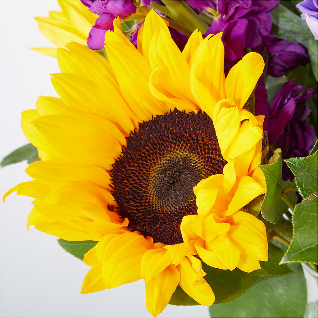 Catching Rays Bouquet –  United Floral Svc Inc, Philadelphia PA