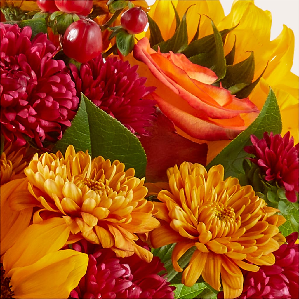 Sweater Season - A Florist Original –  United Floral Svc Inc, Philadelphia PA