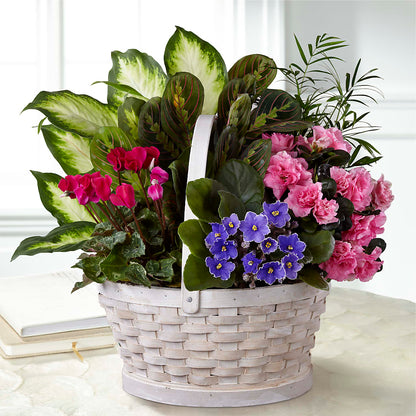 Peaceful Garden Planter –  United Floral Svc Inc, Philadelphia PA