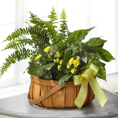 Always Dear Dishgarden –  United Floral Svc Inc, Philadelphia PA