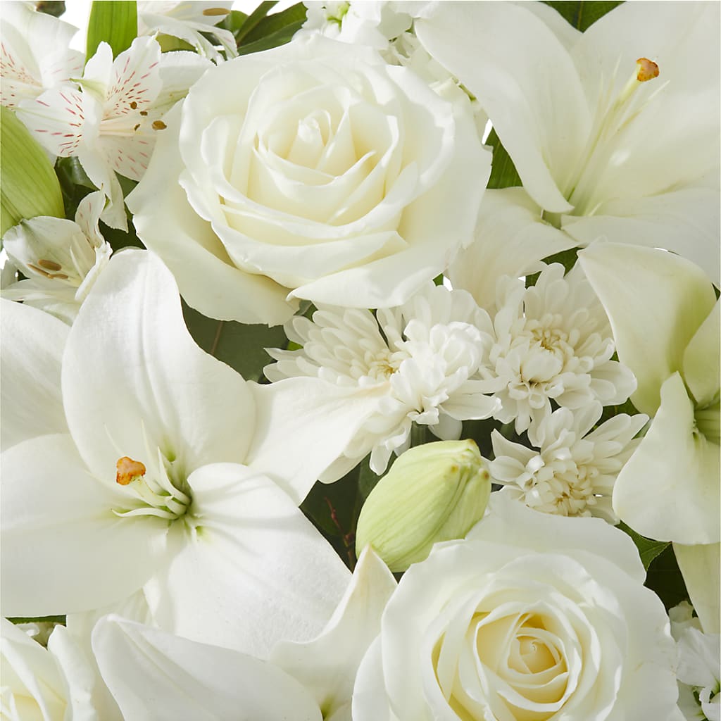 Peaceful Reflections Arrangement –  United Floral Svc Inc, Philadelphia PA