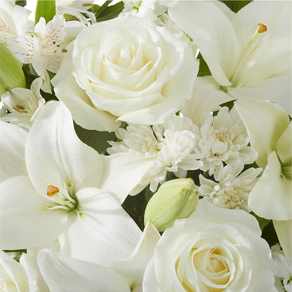 Peaceful Reflections Arrangement –  United Floral Svc Inc, Philadelphia PA