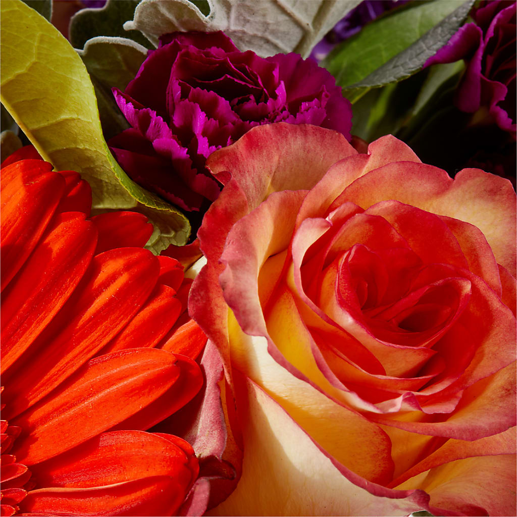 Sangria Bouquet –  United Floral Svc Inc, Philadelphia PA