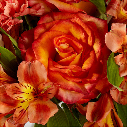 Apricot Glow Bouquet –  United Floral Svc Inc, Philadelphia PA