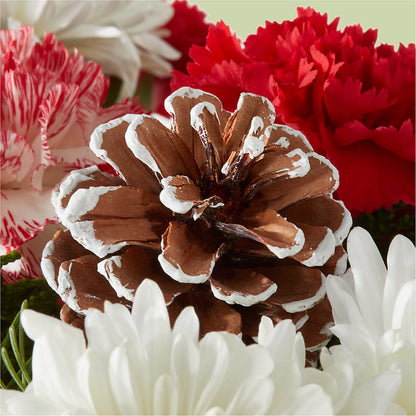 Candy Cane Lane Bouquet –  United Floral Svc Inc, Philadelphia PA
