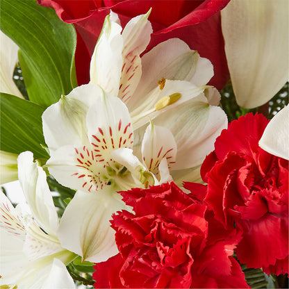 Holiday Season Bouquet –  United Floral Svc Inc, Philadelphia PA