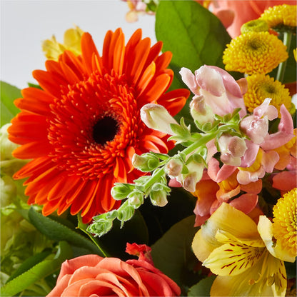 Autumn Sunshine Bouquet –  United Floral Svc Inc, Philadelphia PA