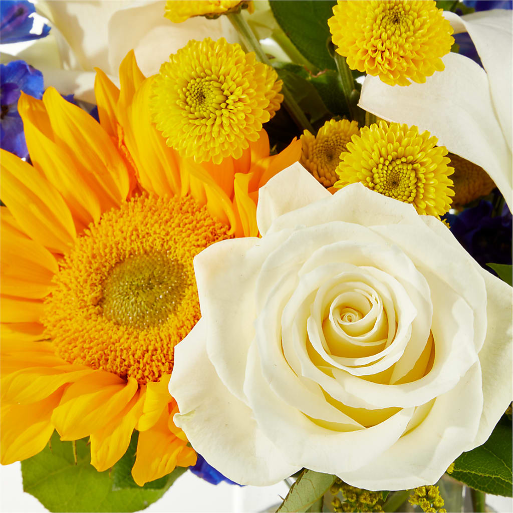 Stargazing Bouquet –  United Floral Svc Inc, Philadelphia PA
