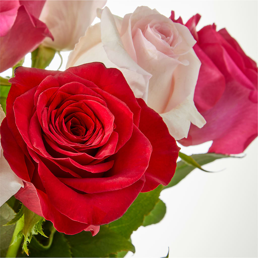 Charming Rose Bouquet –  United Floral Svc Inc, Philadelphia PA