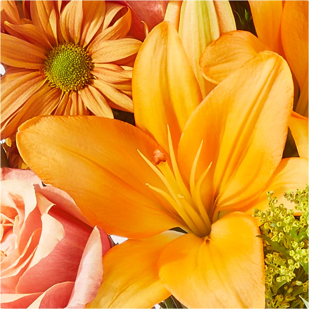 Harvest Hayride Bouquet –  United Floral Svc Inc, Philadelphia PA