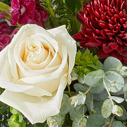 Cranberry Fizz Bouquet –  United Floral Svc Inc, Philadelphia PA