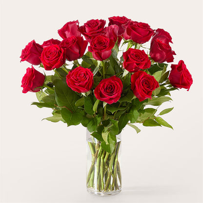 The One Red Rose Bouquet –  United Floral Svc Inc, Philadelphia PA