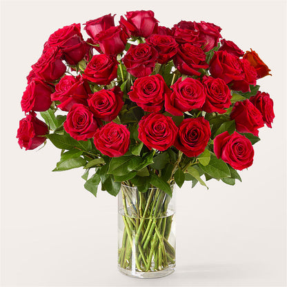 The One Red Rose Bouquet –  United Floral Svc Inc, Philadelphia PA