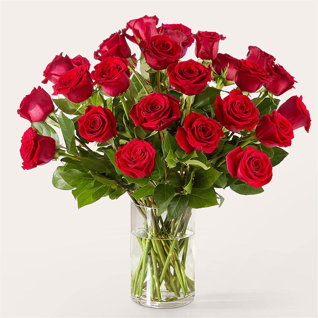 The One Red Rose Bouquet –  United Floral Svc Inc, Philadelphia PA