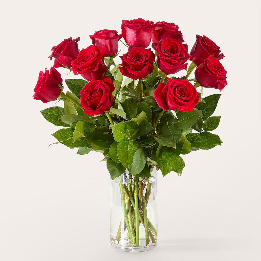 The One Red Rose Bouquet –  United Floral Svc Inc, Philadelphia PA