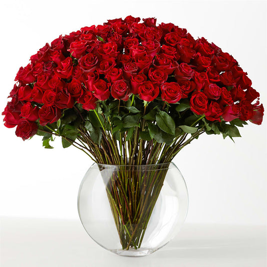 The Idealist –  United Floral Svc Inc, Philadelphia PA