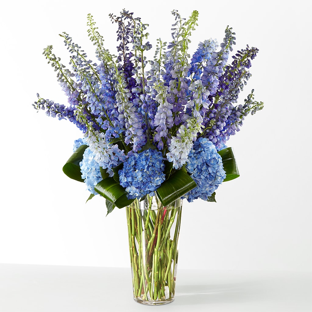 The Editorial –  United Floral Svc Inc, Philadelphia PA
